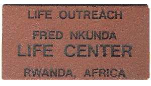 replica mini brick for donor recognition